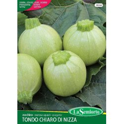 ZUCCHINO TONDO CHIARO DI NIZZA IN BUSTA