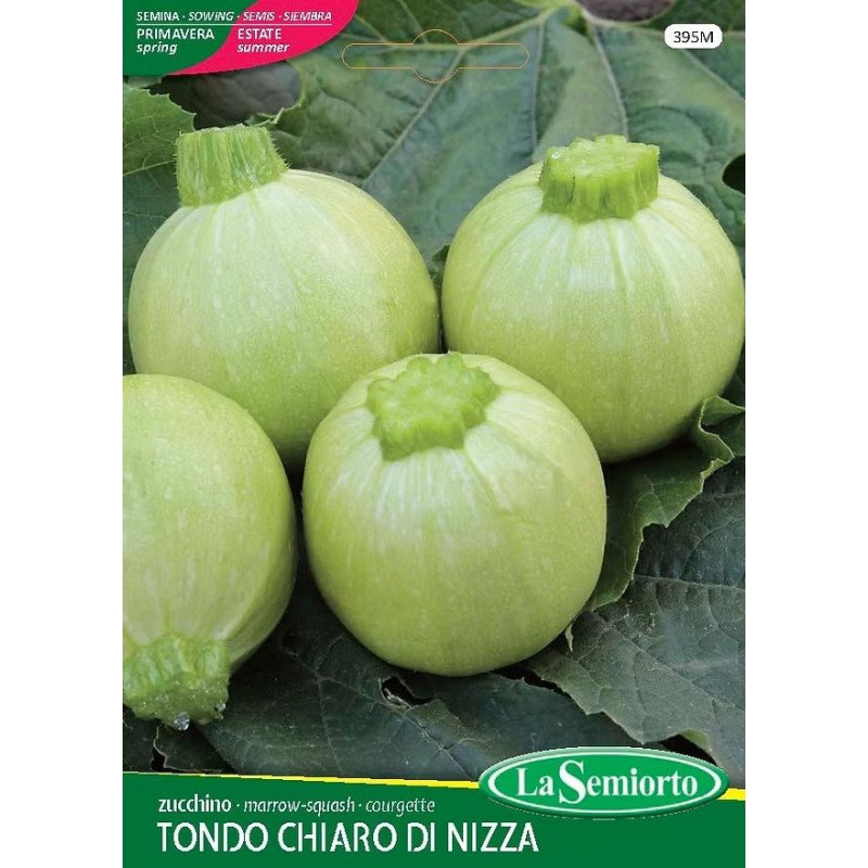 ZUCCHINO TONDO CHIARO DI NIZZA IN BUSTA
