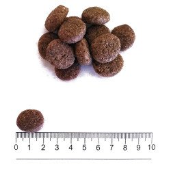 PROLIFE DOG SMART TROUT & RICE MEDIUM LARGE KG.12