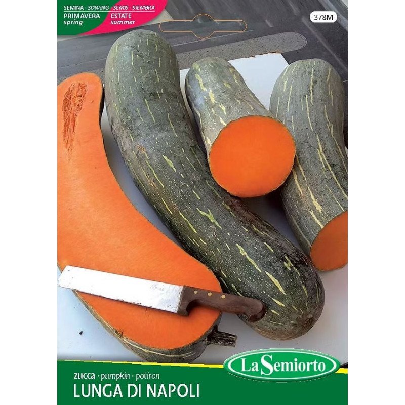ZUCCA PIENA LUNGA DI NAPOLI IN BUSTA