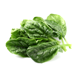 SPINACIO RE DELL'ESTATE IN BUSTINA