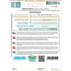 INDIVIA SCAROLA CENTOFOGLIE IN BUSTA