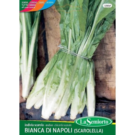 INDIVIA SCAROLA CENTOFOGLIE IN BUSTA