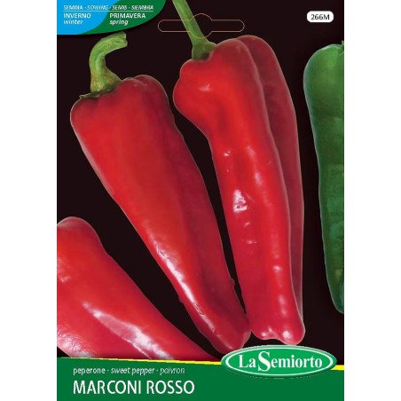 PEPERONE MARCONI ROSSO IN BUSTINA