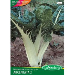 BIETOLA DA COSTE VERDE DA TAGLIO IN BUSTA