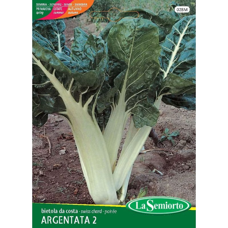 BIETOLA DA COSTE VERDE DA TAGLIO IN BUSTA