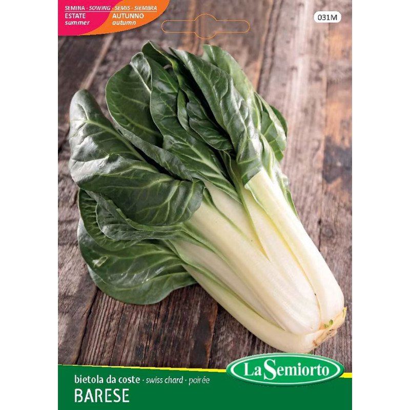 BIETOLA DA COSTE BARESE IN BUSTA