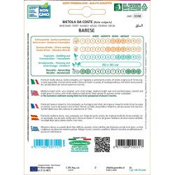 BIETOLA DA COSTE BARESE IN BUSTA