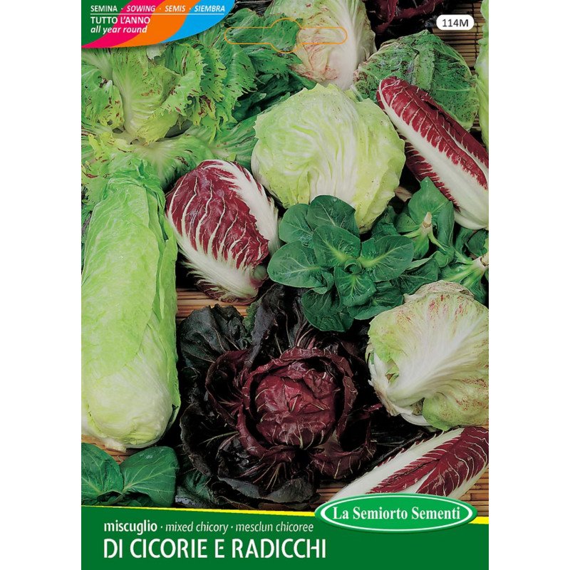 MISCUGLIO DI CICORIE E RADICCHI IN BUSTA