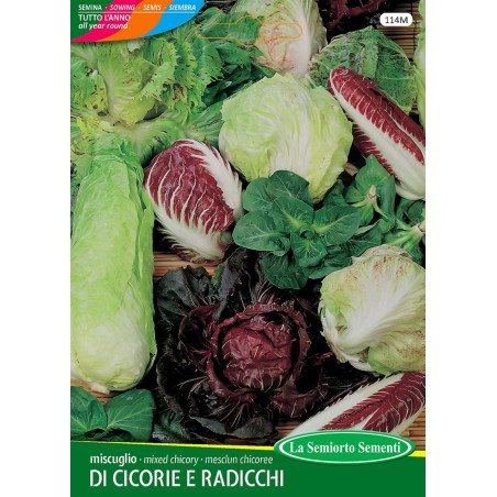MISCUGLIO DI CICORIE E RADICCHI IN BUSTA