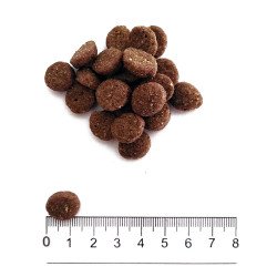 PROLIFE DOG SENSITIVE PUPPY LAMB & RICE MEDIUM LARGE KG.2,5