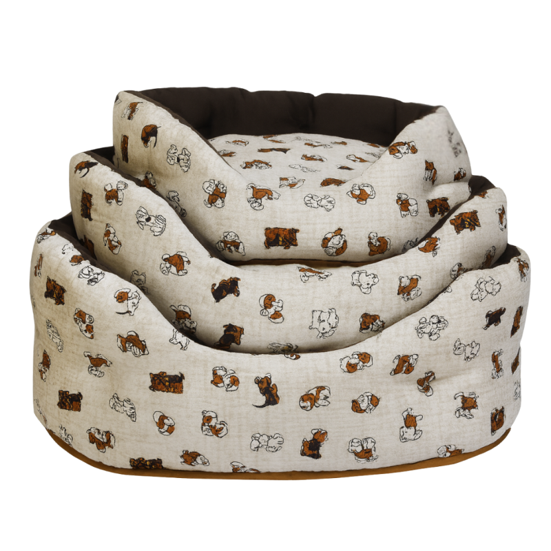 TRONO OVALE CARICATURE