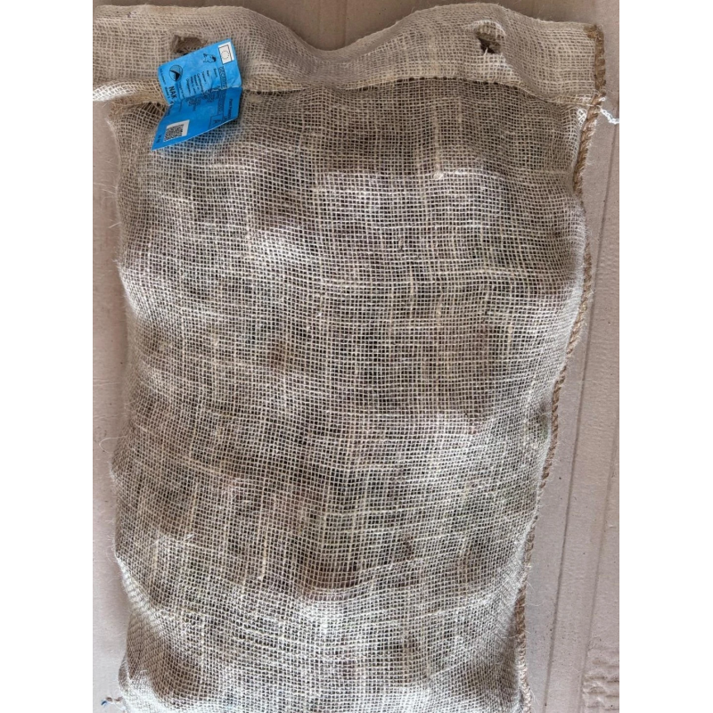 SEME PATATE DESIREE 55/65 ND GR.25