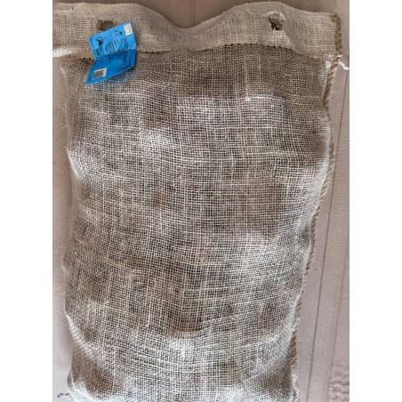 SEME PATATE DESIREE 55/65 ND GR.25