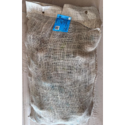 SEME PATATE MONALISA 55/65 NL GR.25