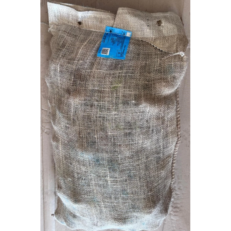 SEME PATATE MONALISA 55/65 NL GR.25