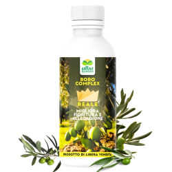ALBAGAREN BORO COMPLEX CONCIME PER OLIVO LIQUIDO KG.1