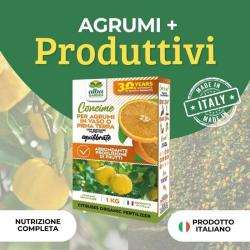 ALBAGAREN CONCIME GRANULARE BIOLOGICO PER AGRUMI KG.1
