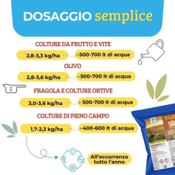 ALBAGARDEN OSSICLORURO DI RAME REALE  30% CONCIME KG.1
