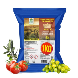 ALBAGARDEN OSSICLORURO DI RAME REALE  30% CONCIME KG.1