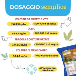 ALBAGARDEN OSSICLORURO DI RAME REALE 30% CONCIME KG.5