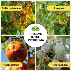 ALBAGARDEN OSSICLORURO DI RAME REALE 30% CONCIME KG.5