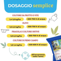 ALBAGARDEN OSSICLORURO DI RAME REALE 50% CONCIME KG.1