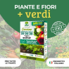 ALBAGARDEN CONCIME IDROSOLUBILE FERTILIZZANTE NPK 20-20-20+TE KG.1