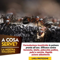 ALBAGARDEN ALBAKILL ATTIVITA' AGRICOLA ANTI FORMICHE INSETTICITA KG.1,5