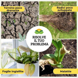 ALBAGARDEN HUMUS DI LOMBRICO ORGANICO 100%BIO KG.1