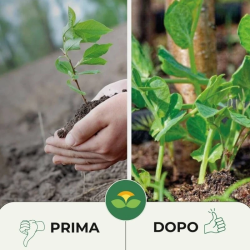 ALBAGARDEN HUMUS DI LOMBRICO ORGANICO 100%BIO KG.1