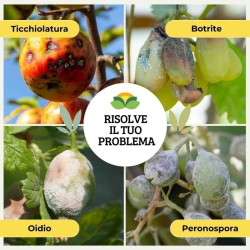 ALBAGARDEN KOLLANT SODIO IDROGENOCARBONATO GR.500