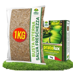 ALBAGARDEN PRATOLUX SEME PRATO UNIVERSALE CON AGGIUNTA  DI ZEOLITE KG.1