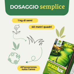 ALBAGARDEN PRATOLUX SEME PRATO UNIVERSALE CON AGGIUNTA  DI ZEOLITE KG.1