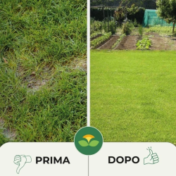 ALBAGARDEN PRATOLUX SEME PRATO UNIVERSALE CON AGGIUNTA  DI ZEOLITE KG.1