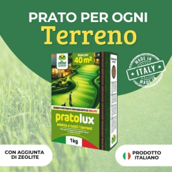 ALBAGARDEN PRATOLUX SEME PRATO UNIVERSALE CON AGGIUNTA  DI ZEOLITE KG.1