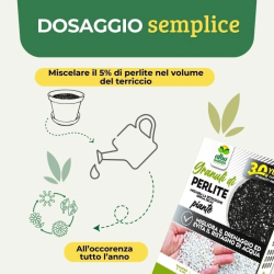 ALBAGARDEN PERLITE PER PIANTE IN GRANULI ROCCIA NATURALE  POROSA LT.2