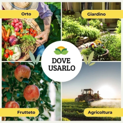 ALBAGARDEN PERLITE PER PIANTE IN GRANULI ROCCIA NATURALE  POROSA LT.2