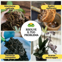 ALBAGARDEN PERLITE PER PIANTE IN GRANULI ROCCIA NATURALE  POROSA LT.2