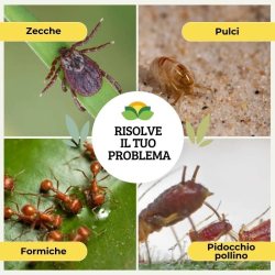 ALBAGARDEN PULPIZEK ALLEVAMENTI INSETTICITA POLVERE PULCI PIDOCCHI  ZECCHE KG.1