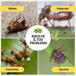 ALBAGARDEN ROMAL DUST ALBAKILL ANTI FORMICHE INSETTICITA KG.1,5