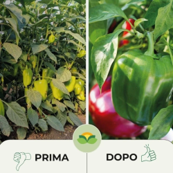 ALBAGARDEN ZERO ZEOLITE + ZOLFO + RAME KG.1