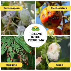 ALBAGARDEN ZEOLITE FLOW LIQUIDA ML.500