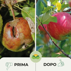 ALBAGARDEN ZEOLITE FLOW LIQUIDA ML.500