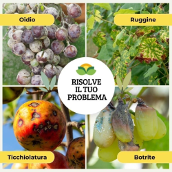 ALBAGARDEN ZOLFO 80% IN POLEVERE MICRONIZZATO BAGNABILE KG.1