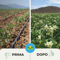 ALBAGARDEN ZOLFO 80% IN POLEVERE MICRONIZZATO BAGNABILE KG.1