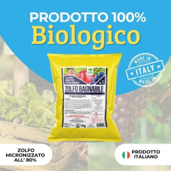 ALBAGARDEN ZOLFO 80% IN POLEVERE MICRONIZZATO BAGNABILE KG.1