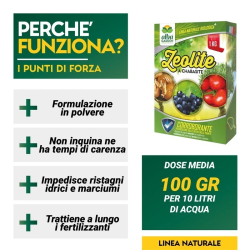 ZEOLITE PER AGRICOLTURA KG.1