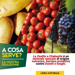 ZEOLITE PER AGRICOLTURA KG.5