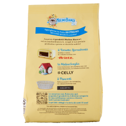 MULINO BIANCO CLASSICI MACINE GR. 350
